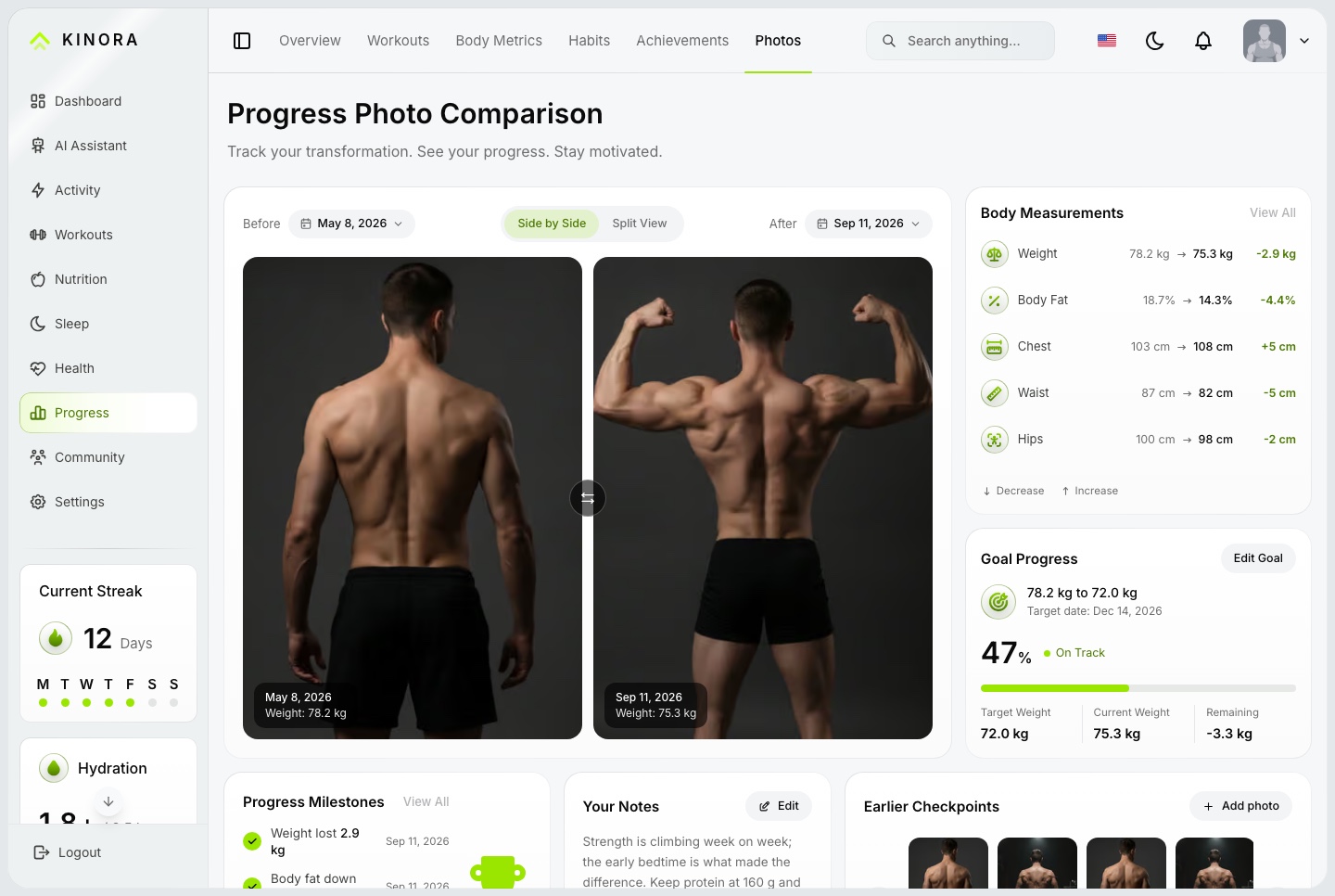 Progress photos, light
